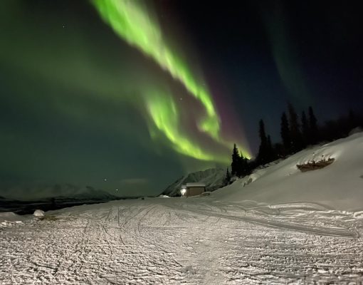 Northern lights