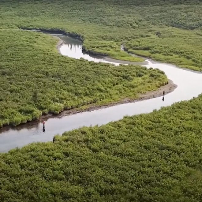Fly fish at boulder creek