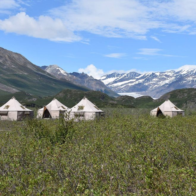 Maclaren glazier tent camp