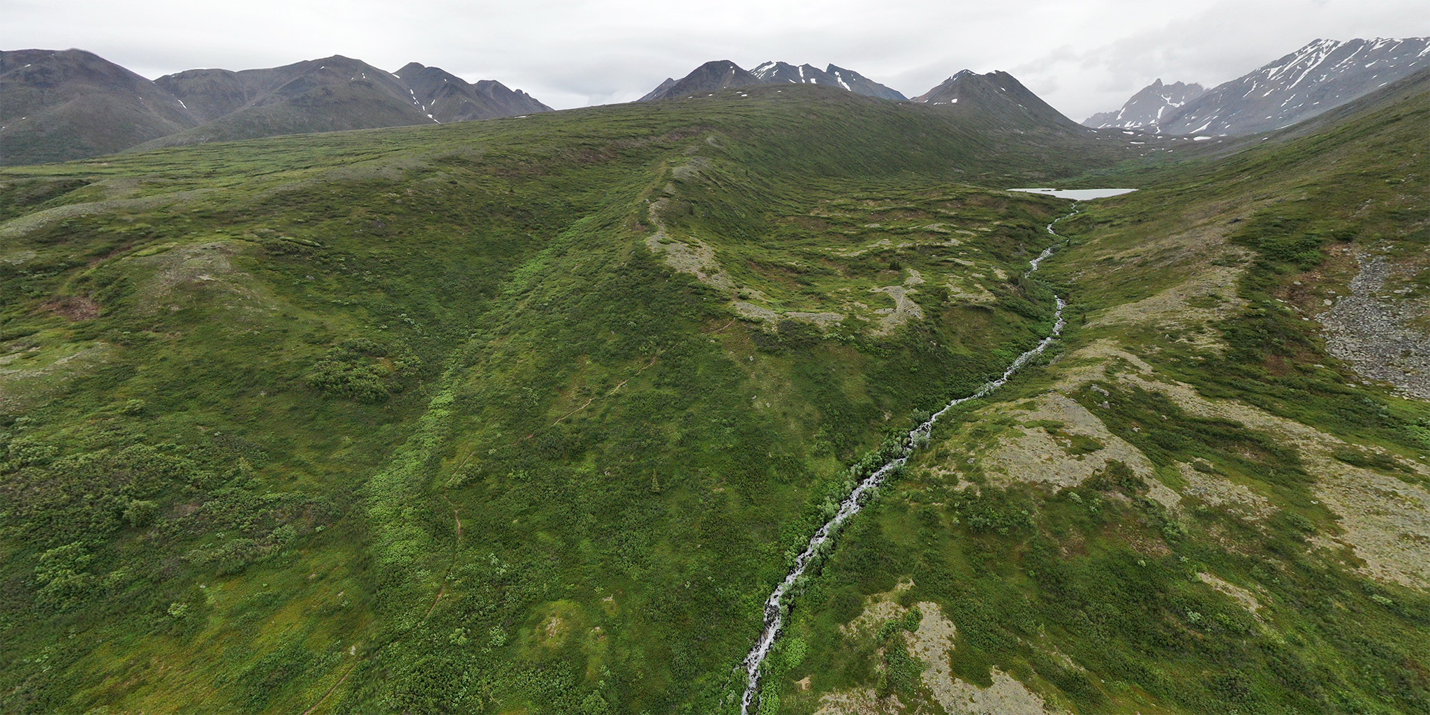 Alpine Creek Lodge Denali Highway