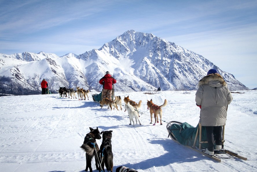 Dug mushing