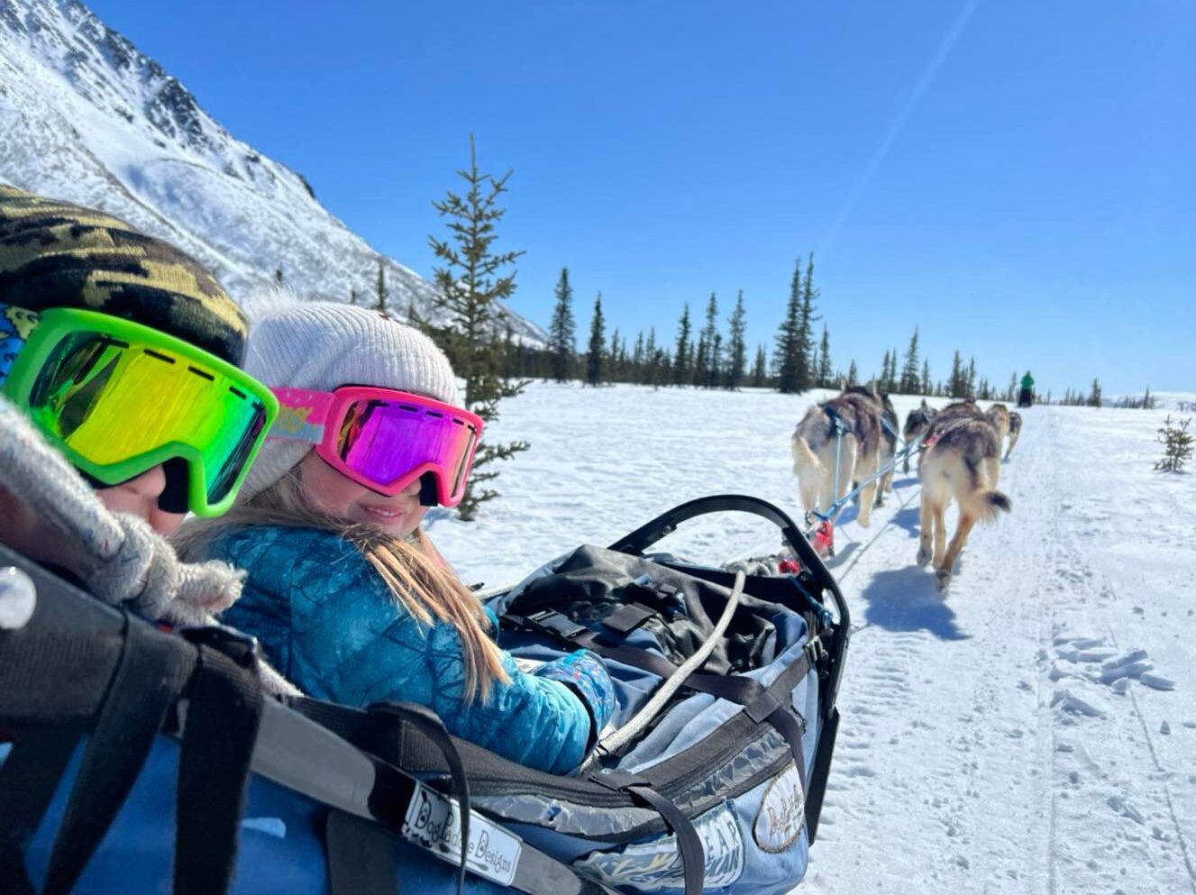 Kids on dog sled